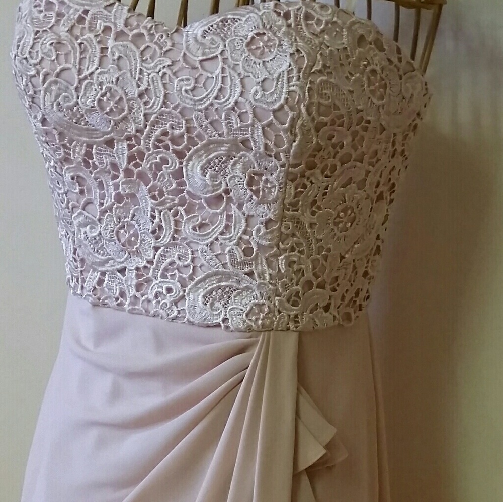 NWT Blush Pink Chiffon & Chantilly Lace Straples